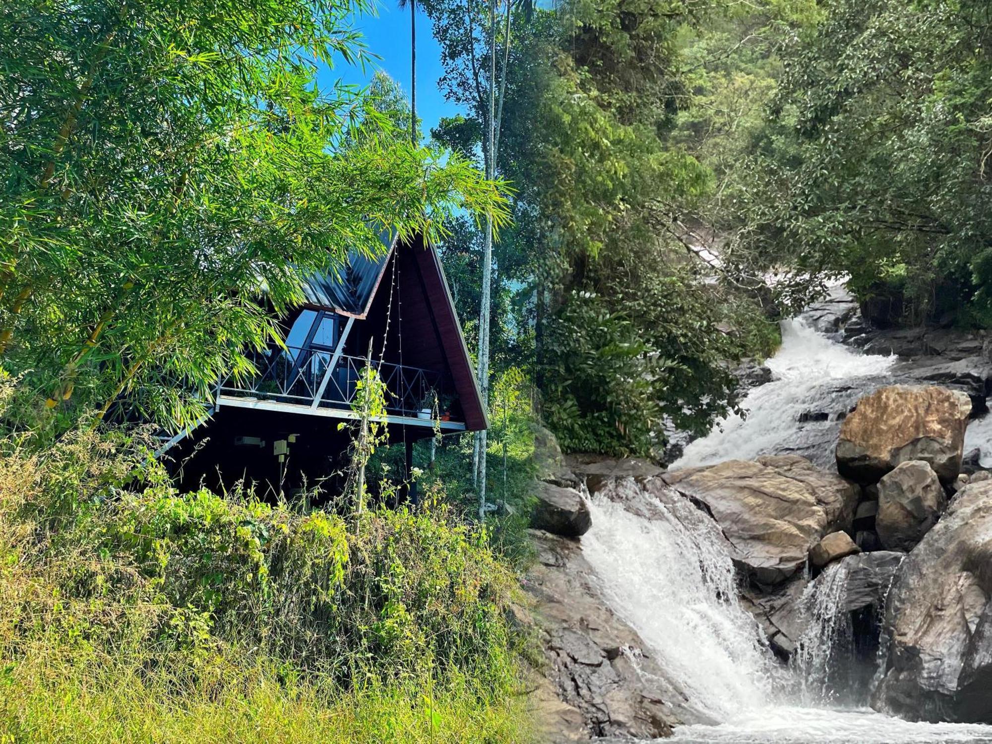 Wetlands Wayanad Pool Resort With Natural Waterfalls Padinjarathara Buitenkant foto