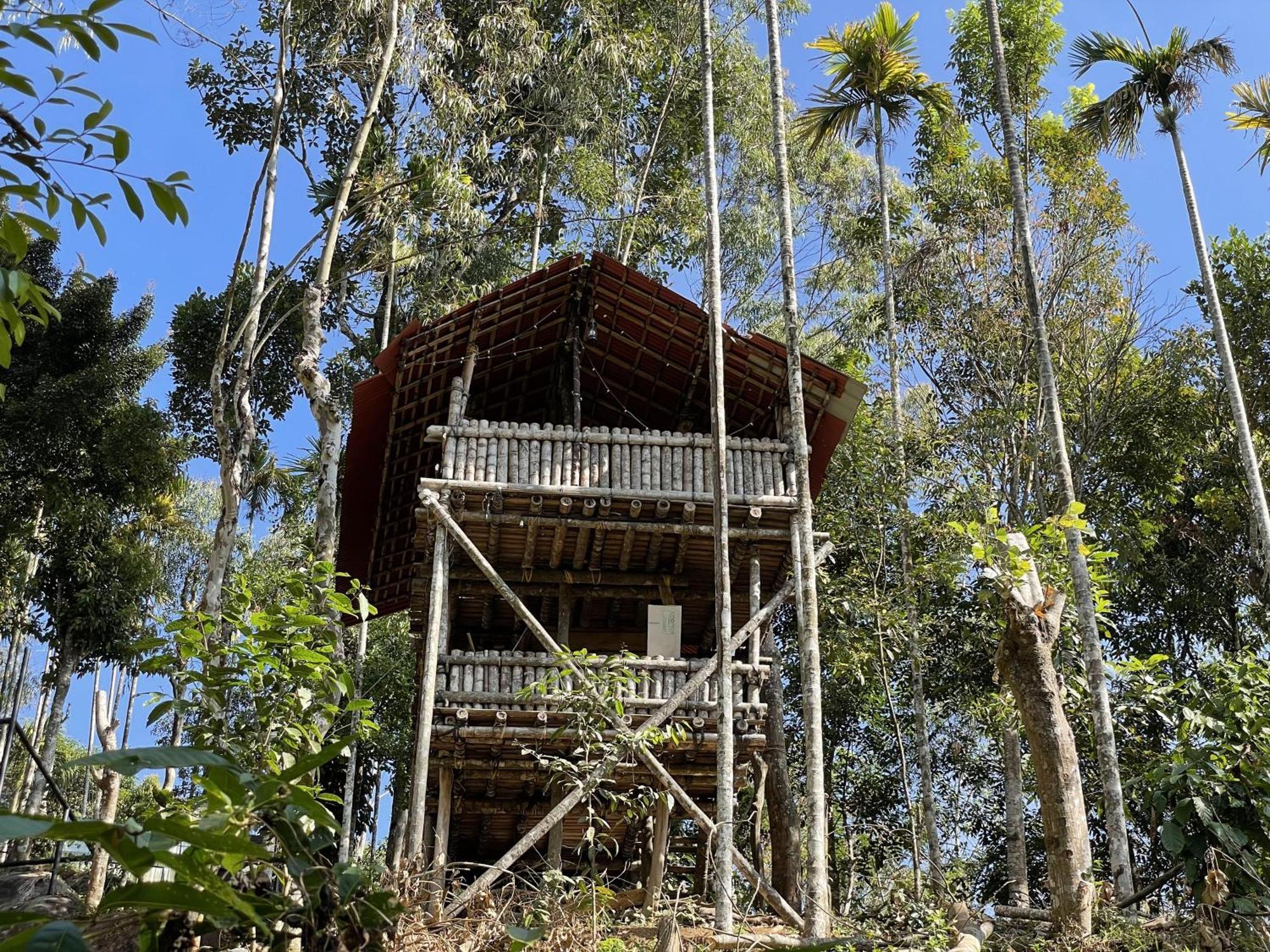 Wetlands Wayanad Pool Resort With Natural Waterfalls Padinjarathara Buitenkant foto