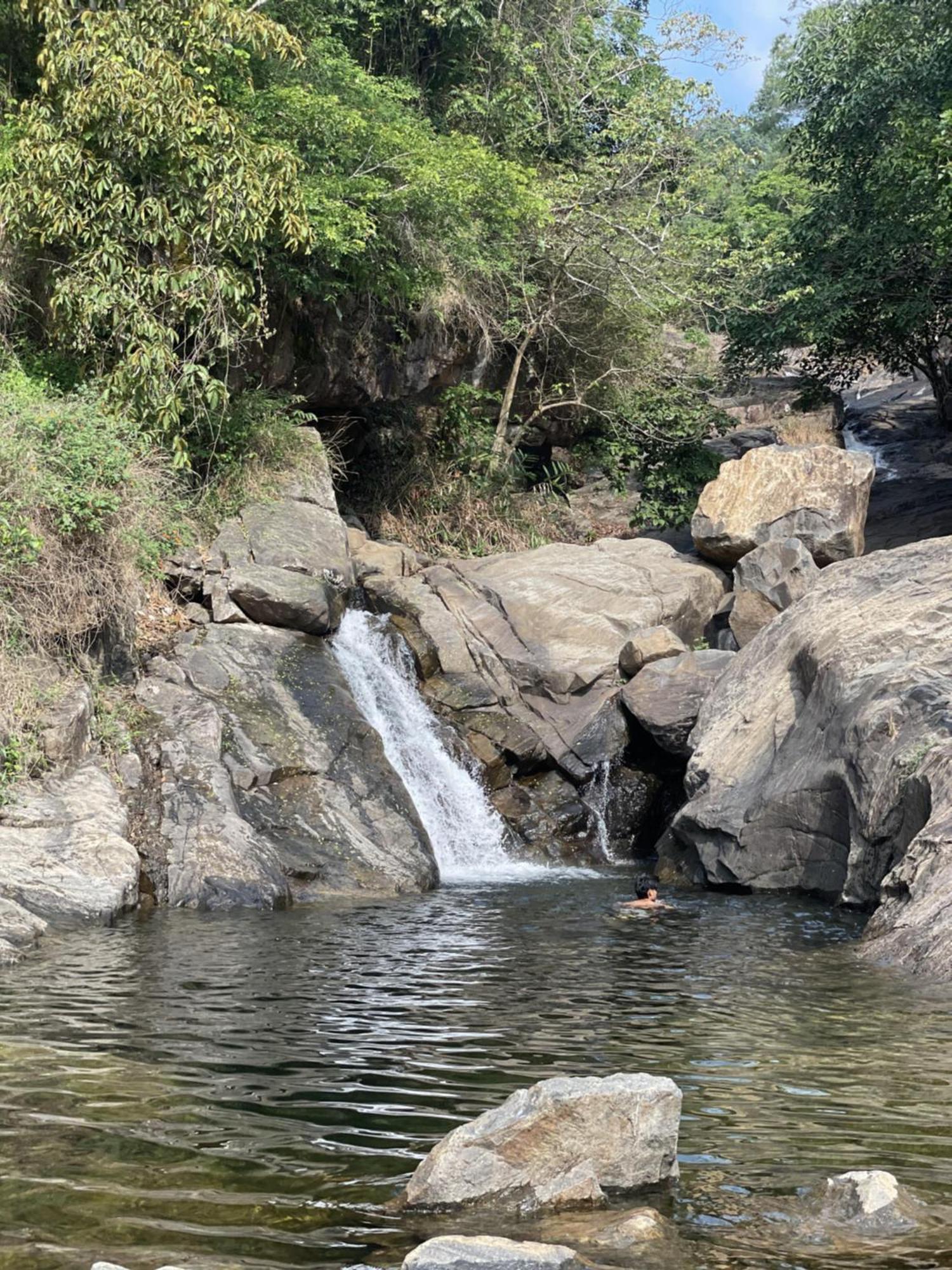 Wetlands Wayanad Pool Resort With Natural Waterfalls Padinjarathara Buitenkant foto