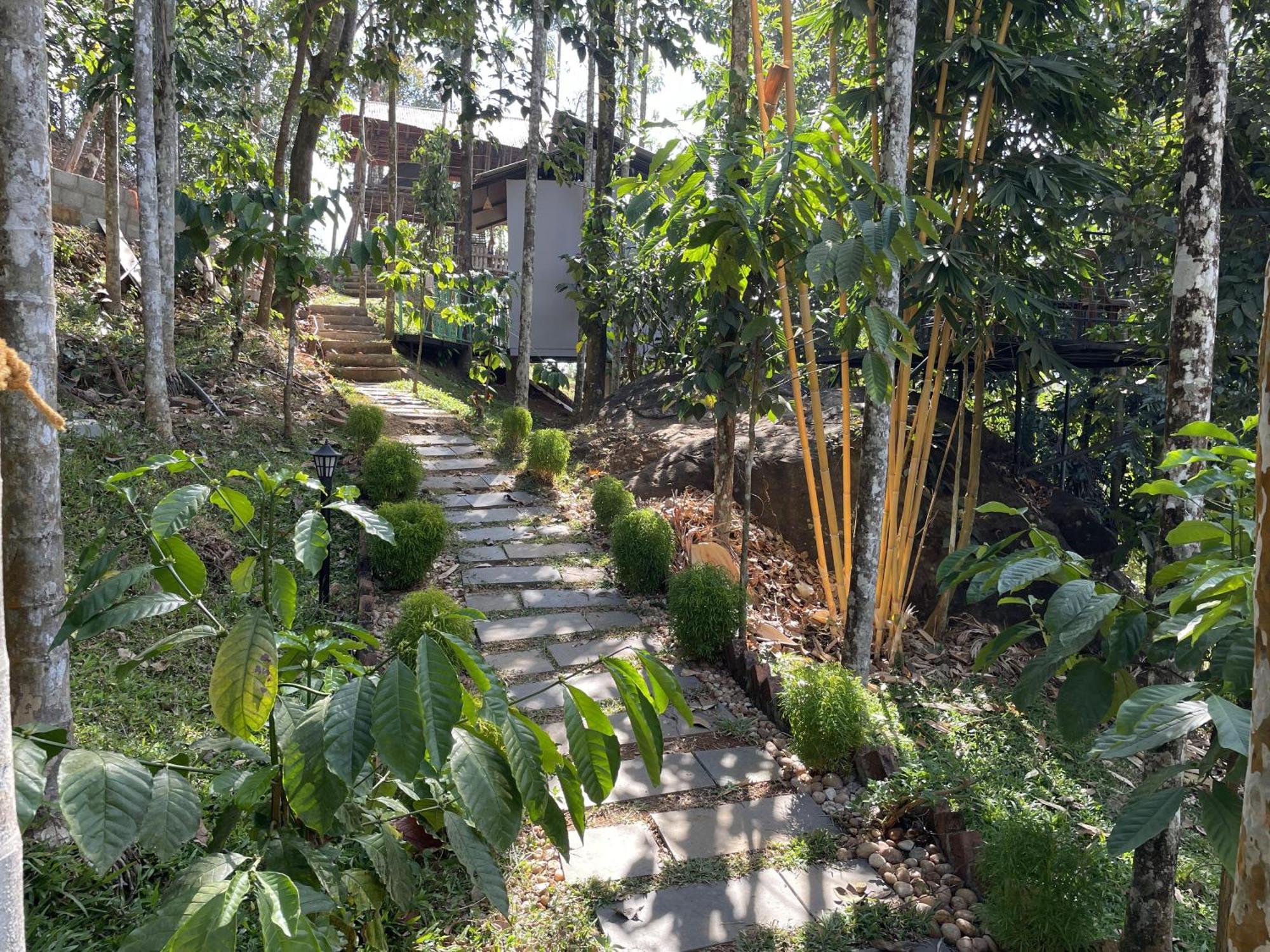 Wetlands Wayanad Pool Resort With Natural Waterfalls Padinjarathara Buitenkant foto