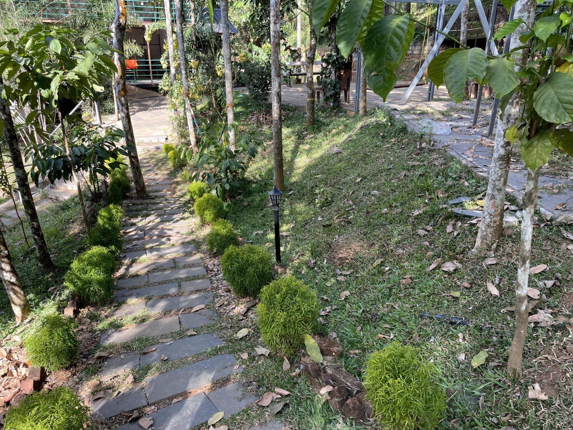 Wetlands Wayanad Pool Resort With Natural Waterfalls Padinjarathara Buitenkant foto